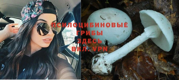 дмт Алзамай